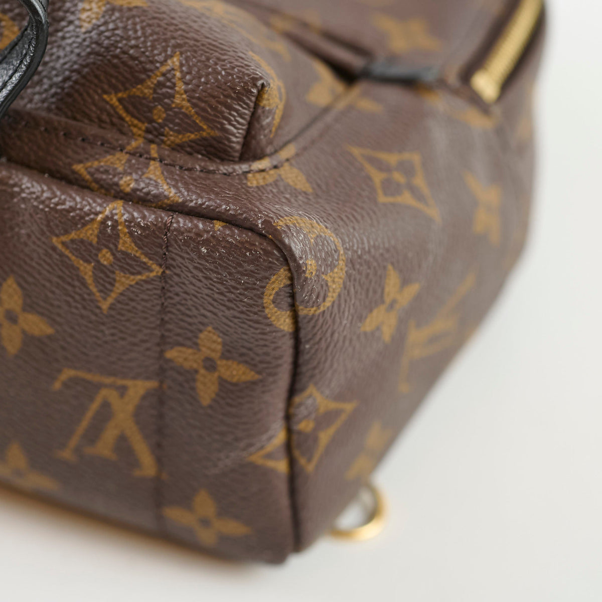 Louis Vuitton Mini Palm Spring Monogram - photo 10