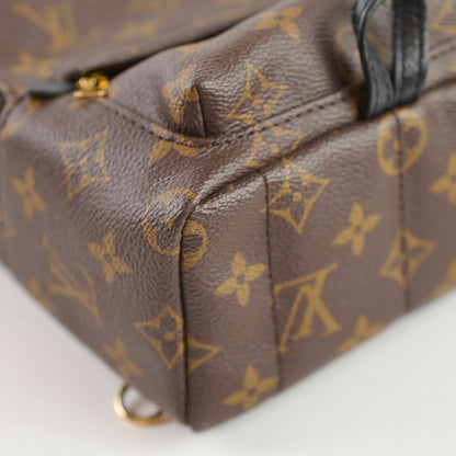 Louis Vuitton Mini Palm Spring Monogram - photo 8