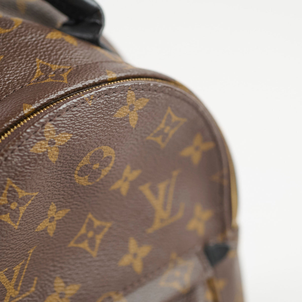 Louis Vuitton Mini Palm Spring Monogram - photo 5