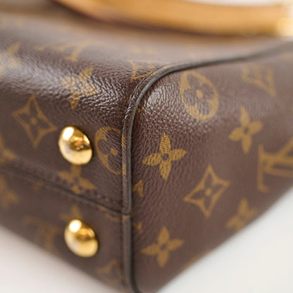 Louis Vuitton Cluny BB Monogram - photo 18