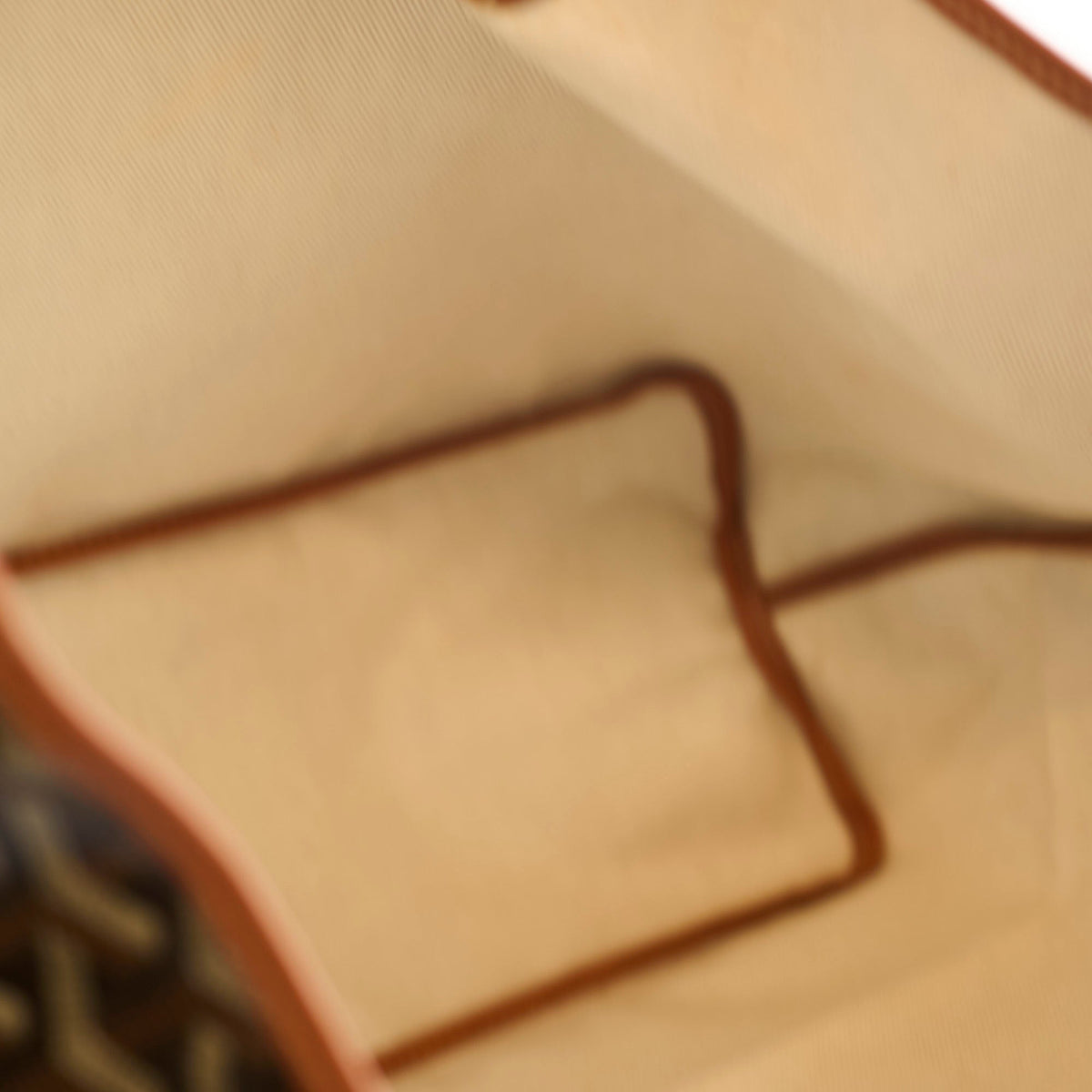 Goyard PM Saint Louis Tote Black - photo 9