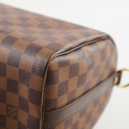 Louis Vuitton Speedy 25 Dampier Ebene - photo 13
