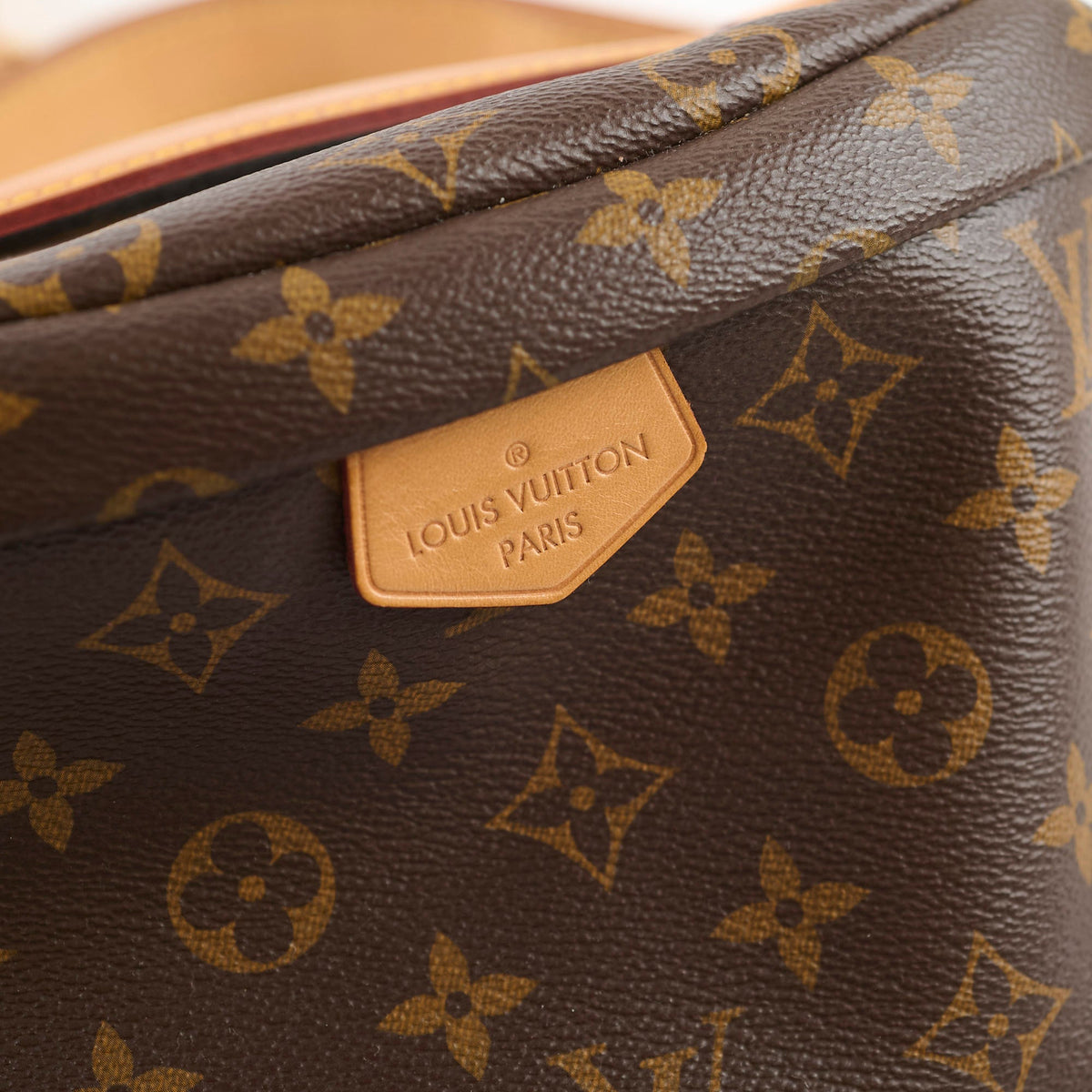 Louis Vuitton Bumbag Monogram Canvas - photo 9