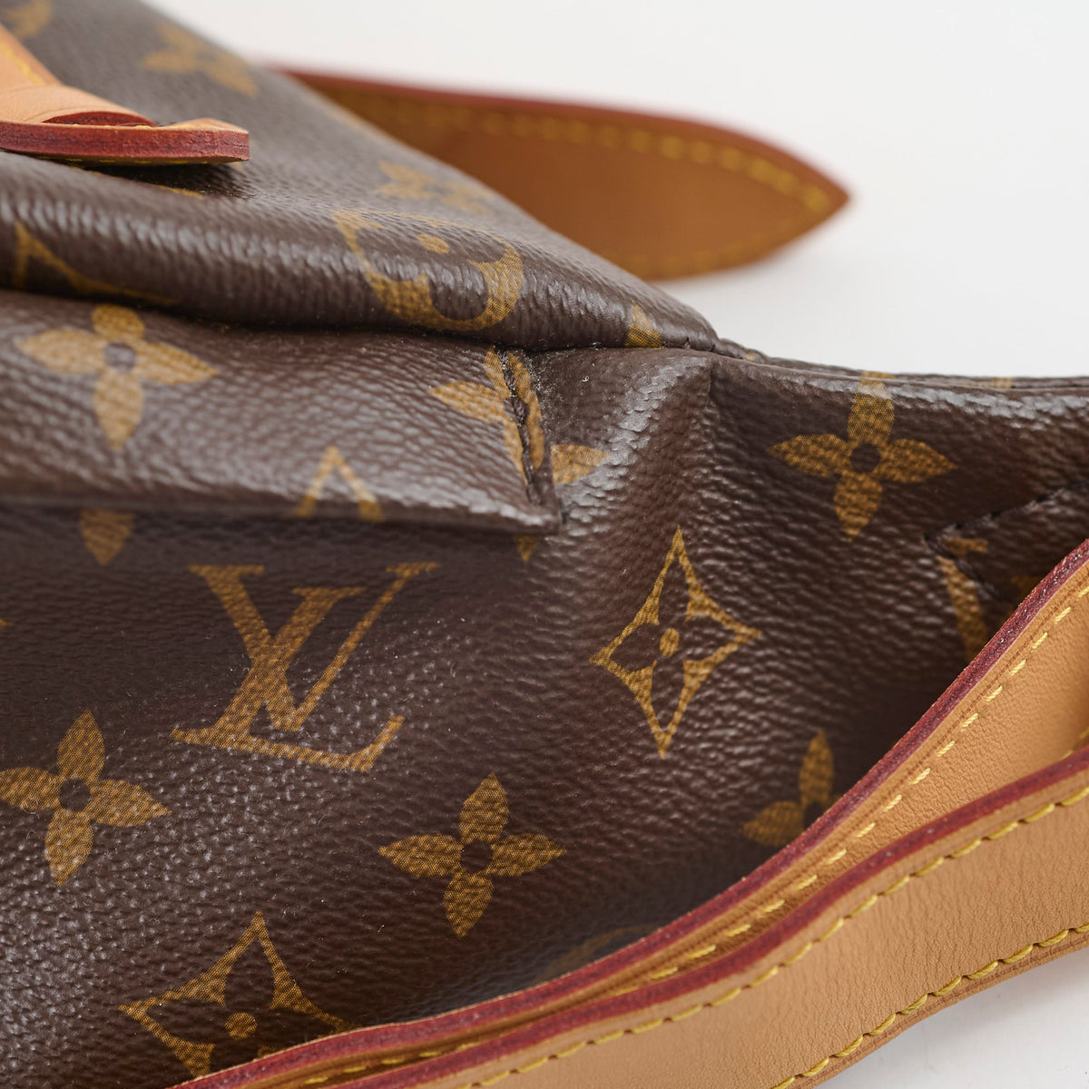 Louis Vuitton Bumbag Monogram Canvas - photo 4