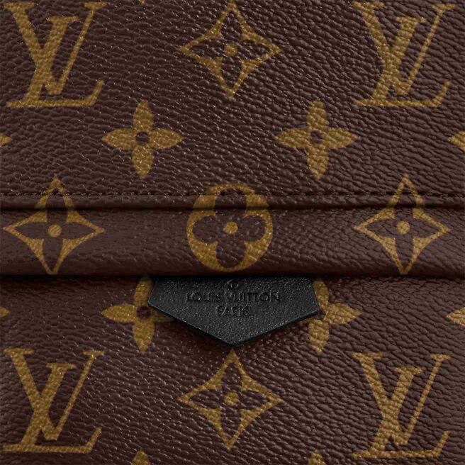 Louis Vuitton PALM SPRINGS MINI - image 5