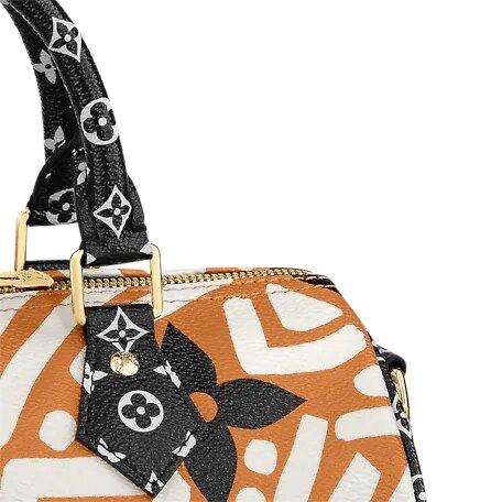 Louis Vuitton CRAFTY SPEEDY BANDOULIÈRE 25 Caramel - image 5