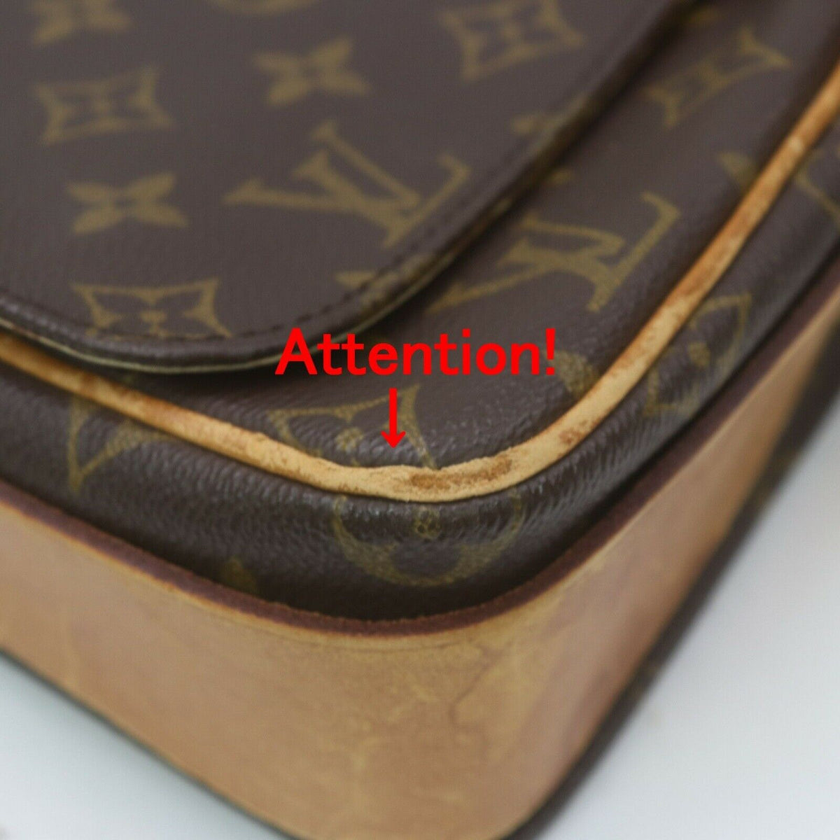 Louis Vuitton Cartouchiere Gm - photo 10