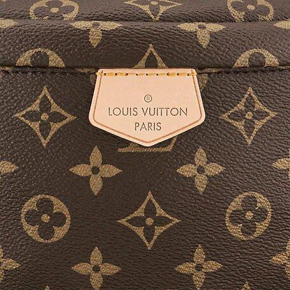 Louis Vuitton BUMBAG - image 4