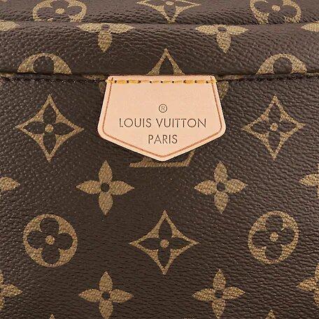 Louis Vuitton Bumbag - photo 4