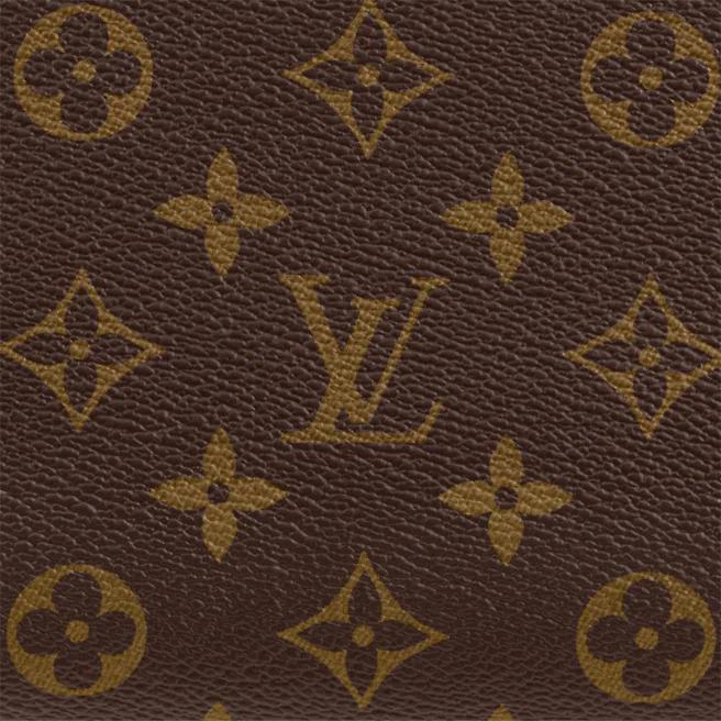 Louis Vuitton GRAND PALAIS - image 5