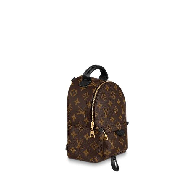 Louis Vuitton PALM SPRINGS MINI - image 4