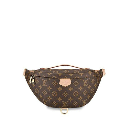 Louis Vuitton BUMBAG - image 1