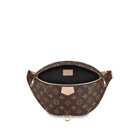 Louis Vuitton BUMBAG - image 5