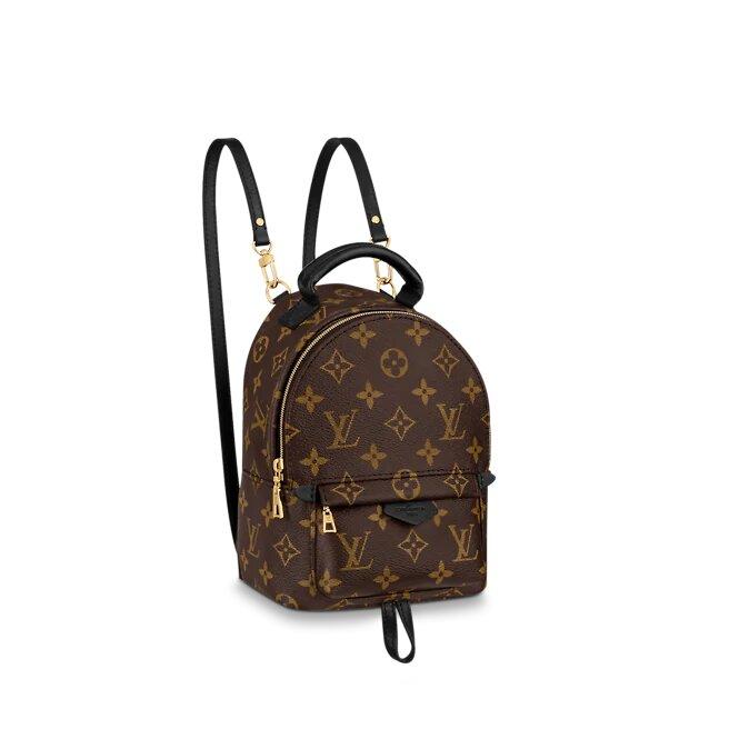 Louis Vuitton Palm Springs Mini - photo 1