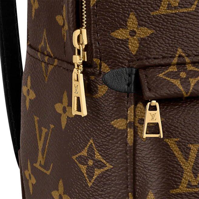 Louis Vuitton Palm Springs Mini - photo 5
