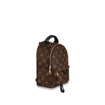 Louis Vuitton Palm Springs Mini - photo 4