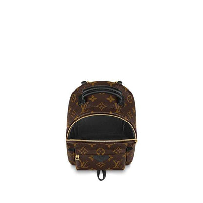 Louis Vuitton Palm Springs Mini - photo 3