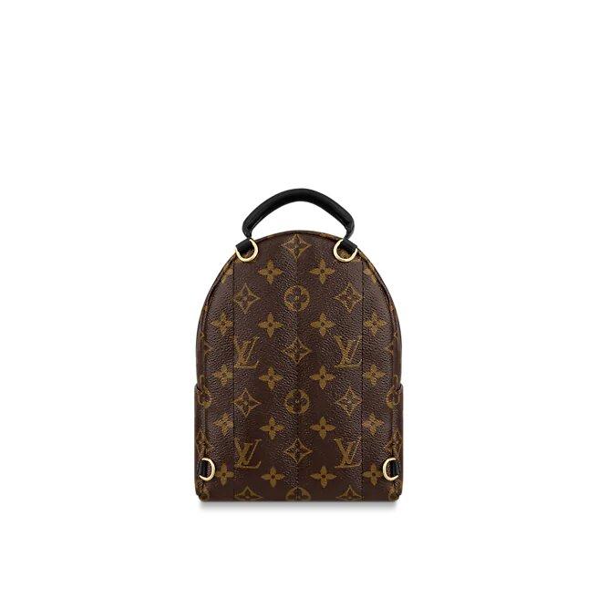 Louis Vuitton Palm Springs Mini - photo 2