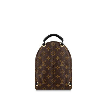 Louis Vuitton Palm Springs Mini - photo 2
